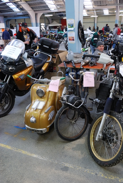 Puce_Niort_2009_026 [800x600].jpg